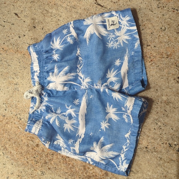 Super Soft Tropical Bathingsuit Shorts Trunks - Picture 1 of 6